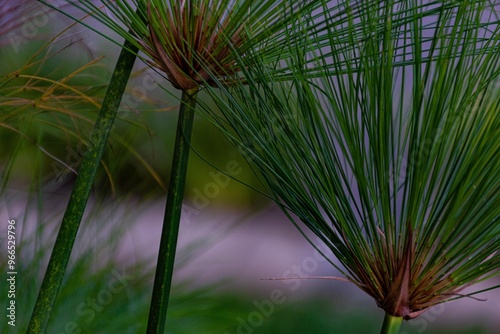 Photos exposed nature, green is the protagonist