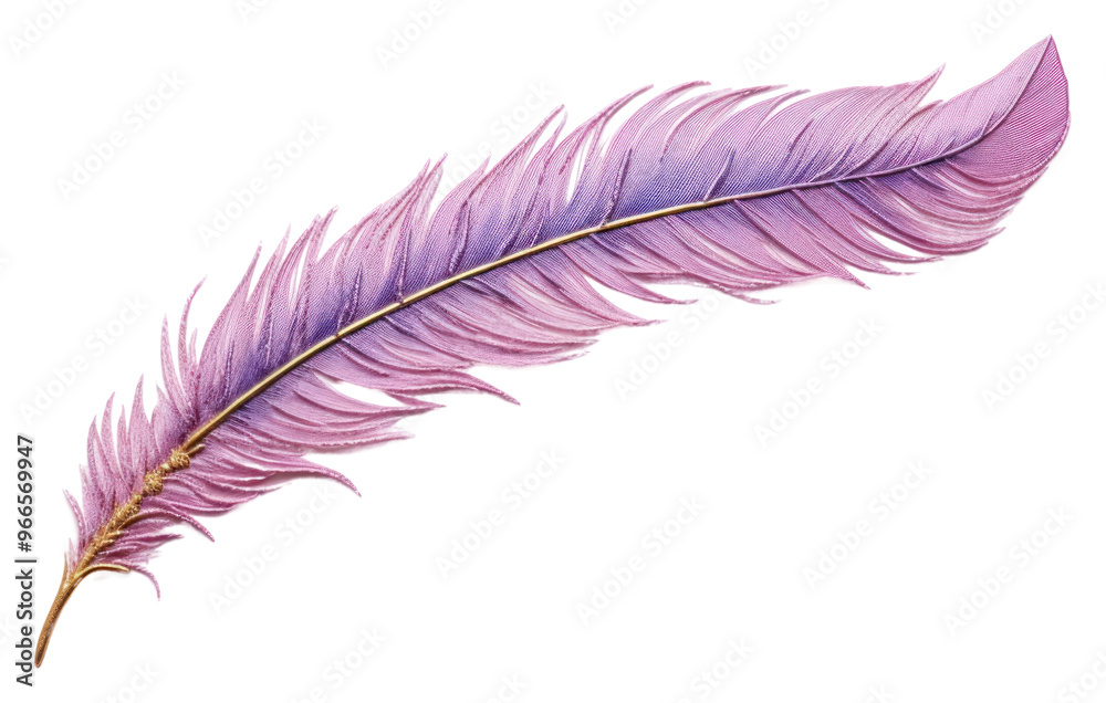 PNG Feather in embroidery style purple lightweight accessories. PNG Feather in embroidery style purple lightweight accessories.