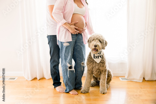 A pregnant mom (showing off her belly) with dad hugging her behind with their golden doodle dog with the words 