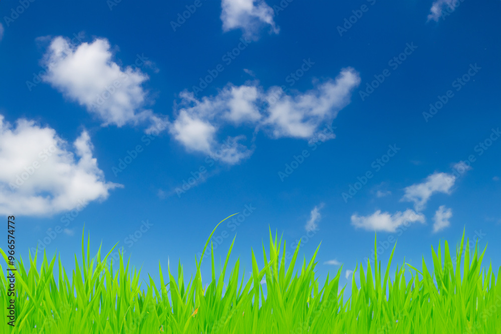 Lush green grass against a vibrant blue sky with fluffy white clouds. Lush green grass against a vibrant blue sky with fluffy white clouds.