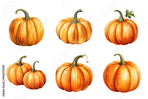 Orange Pumpkin Collection Bundle Set Isolated on a Transparent Background