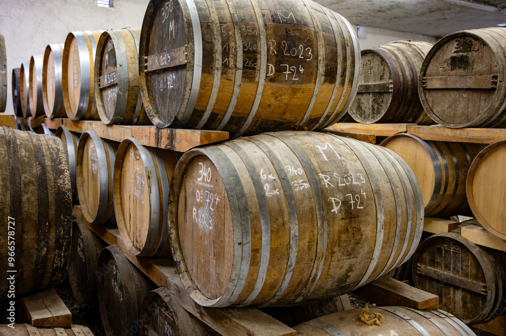 Aging process of cognac spirit in old dark French oak barrels in cellar in distillery house, Cognac white wine region, Charente, Segonzac, Grand Champagne, France Aging process of cognac spirit in old dark French oak barrels in cellar in distillery house, Cognac white wine region, Charente, Segonzac, Grand Champagne, France