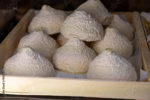 Cheese collection, French Meringue de Chevre pyramid cheese made from goat milk in region Tarn in France close up photo