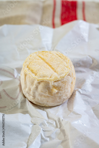 Cheese collection, soft goat French cheese with mold crottin de Chavignol produced near Sancerre on cheese farm, Loire Valley close up photo