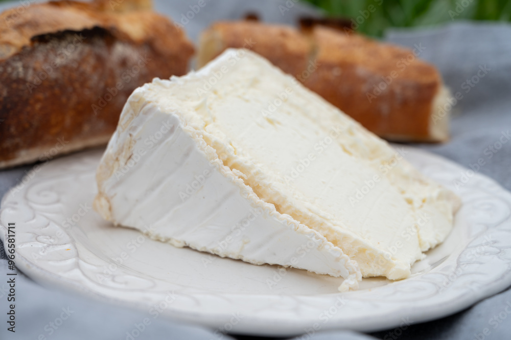 Delice de Bourgogne French cow's milk cheese from Burgundy region of France close up Delice de Bourgogne French cow's milk cheese from Burgundy region of France close up