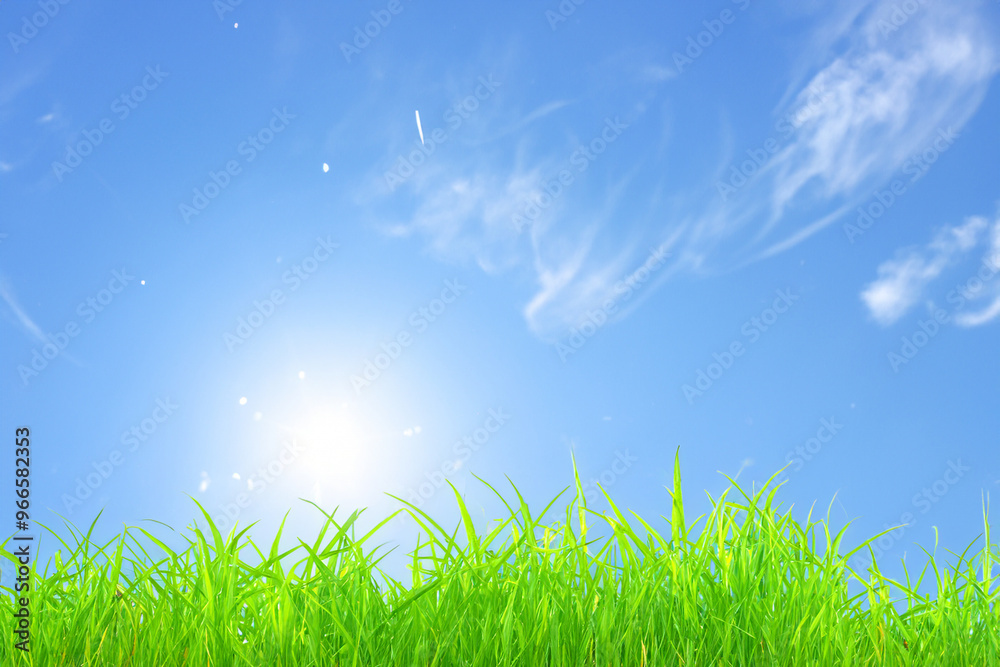 Lush green grass blades against a bright blue sky with fluffy white clouds and a sunbeam. Lush green grass blades against a bright blue sky with fluffy white clouds and a sunbeam.