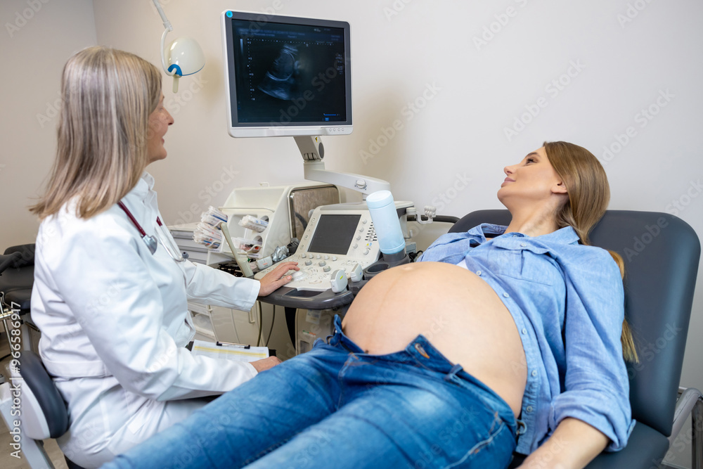 Young pregnant woman having appointment at female doctor