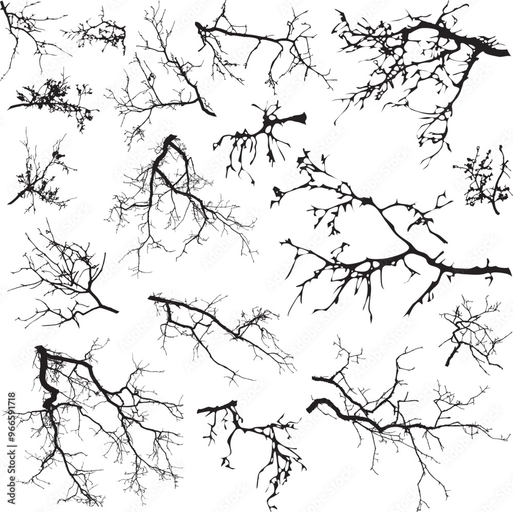 Natural tree branches silhouette on a white background (Vector illustration). Natural branch on a white. 