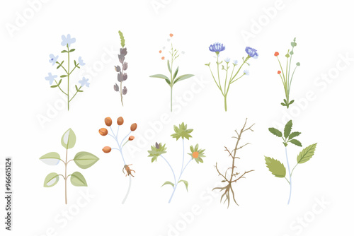 Графика и иллюстрации