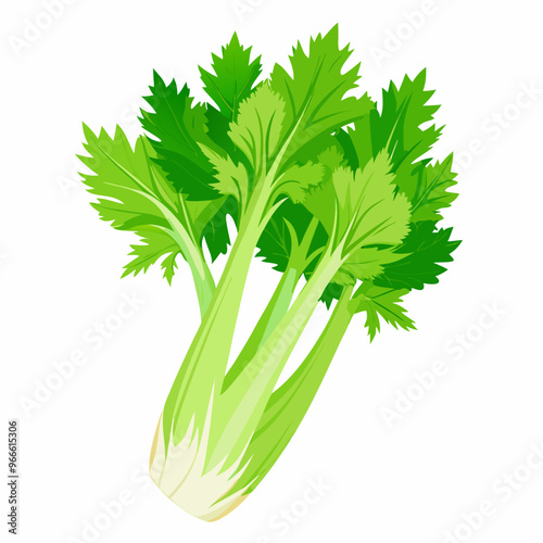 celery isolated on white background