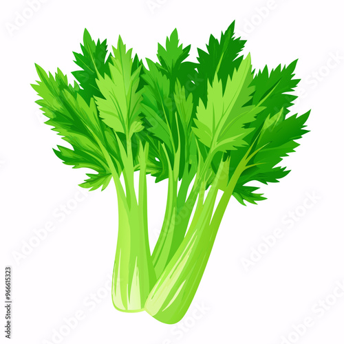 celery isolated on white background