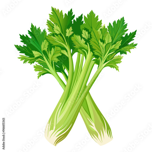 celery isolated on white background