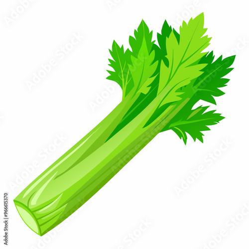 celery isolated on white background