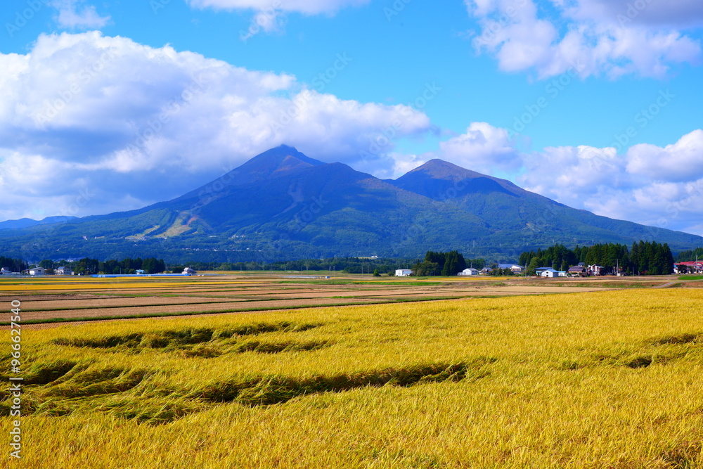 Obraz premium 秋の磐梯山 - 黄金色に輝く稲穂の風景