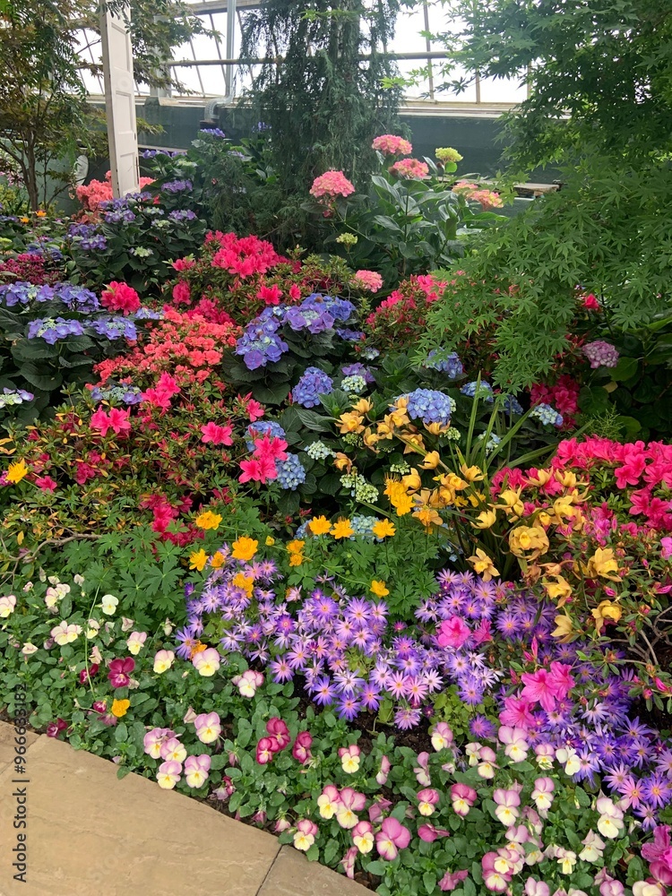 Multicolored flowers Multicolored flowers