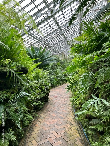 greenhouse with plants