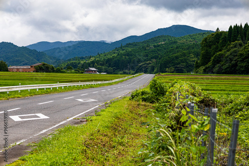 田舎の長閑な山道