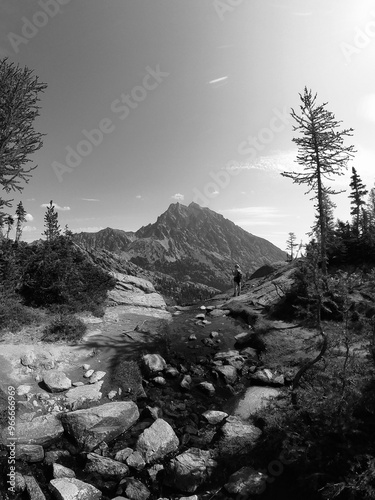 Monochrome Serenity: Alpine Lake in Summer