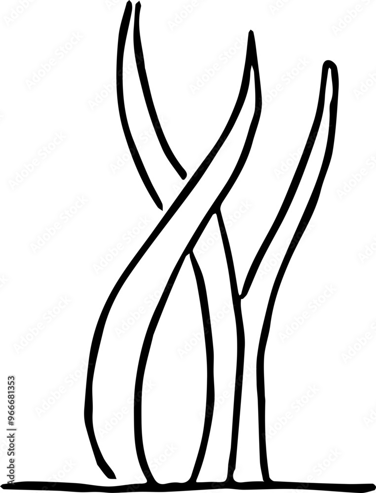 hand drawn illustration of sea grass