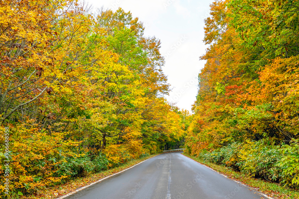 Obraz premium Autumn road trip at Aomori, Japan.beautiful autumn landscape