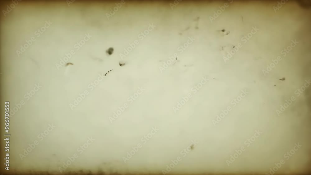  Vintage textured background with sepia tones and distressed details.