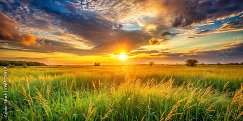 Sunset over tall grass field with distant object