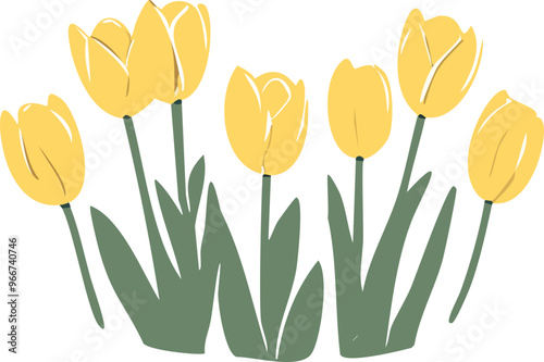 yellow tulips 