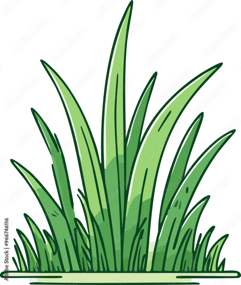 Obraz premium green grass 