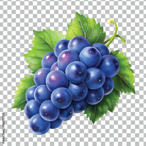 fresh grape png image design 