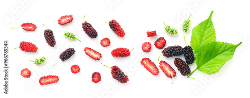 Mulberry fruit pattern isolated on white background , top view.