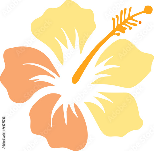 Hibiscus 