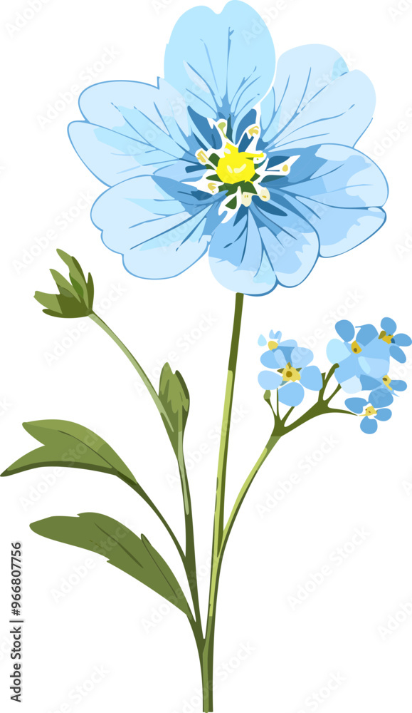 Fototapeta premium forget me not flowers 