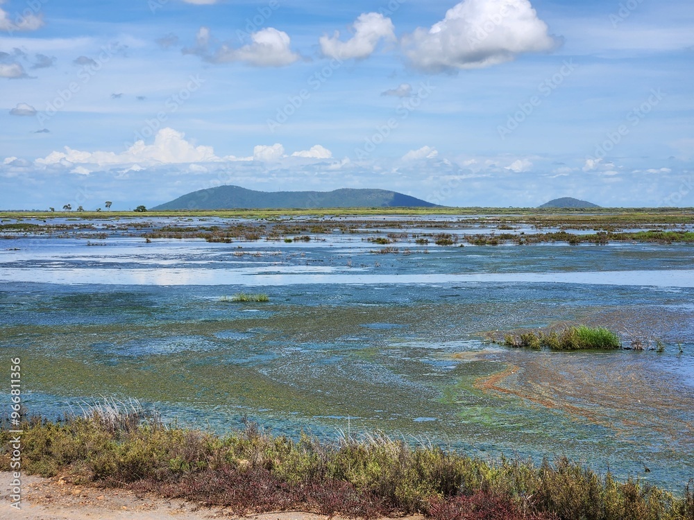 Wunjunga Wetlands in Queensland, Australia