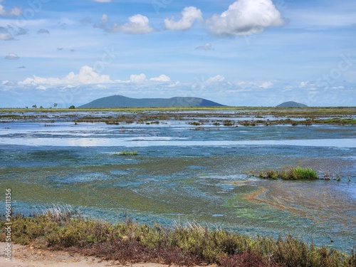 Obraz na płótnie Wunjunga Wetlands in Queensland, Australia w salonie