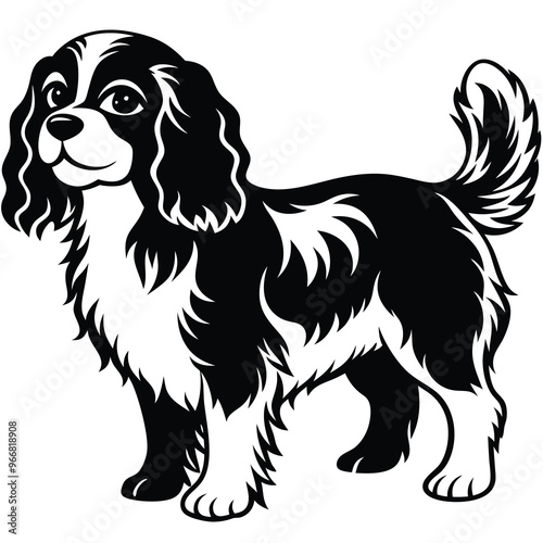 cute cavalier king charles spaniel dog
