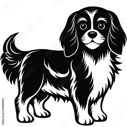 cute cavalier king charles spaniel dog