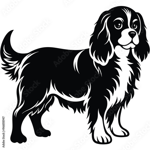 cute cavalier king charles spaniel dog