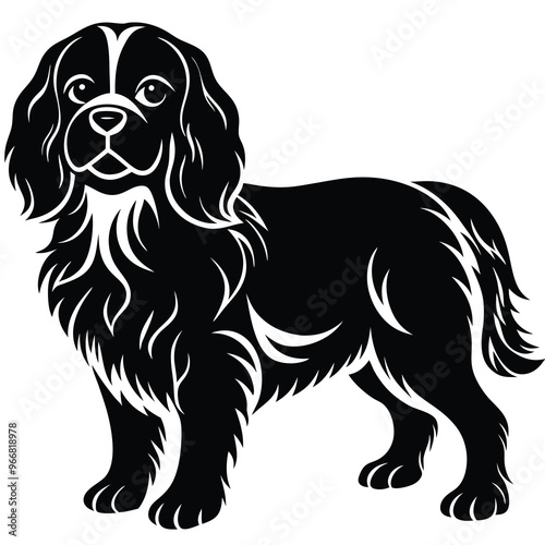 cute cavalier king charles spaniel dog