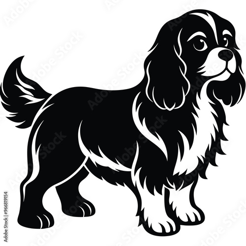 cute cavalier king charles spaniel dog