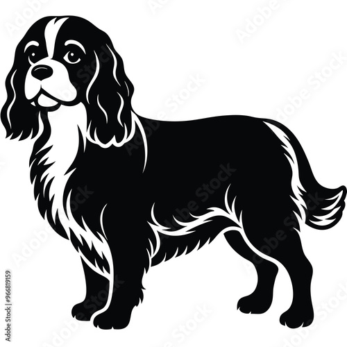 cute cavalier king charles spaniel dog