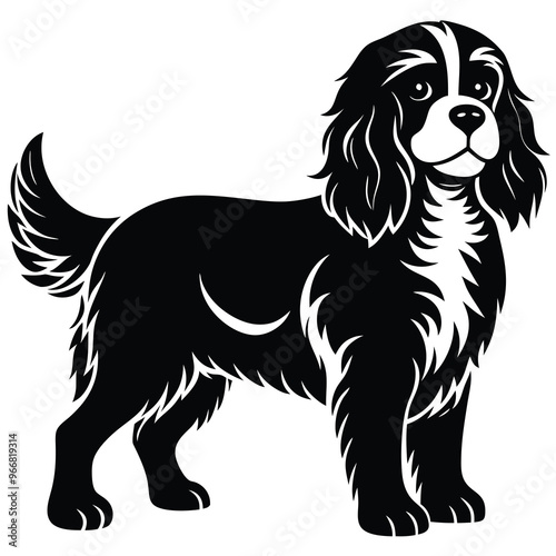 cute cavalier king charles spaniel dog
