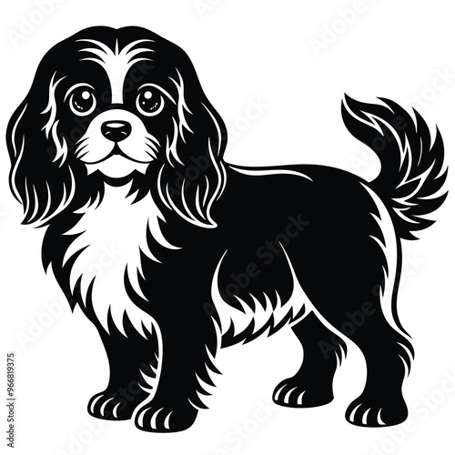 cute cavalier king charles spaniel dog
