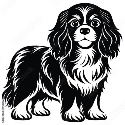 cute cavalier king charles spaniel dog