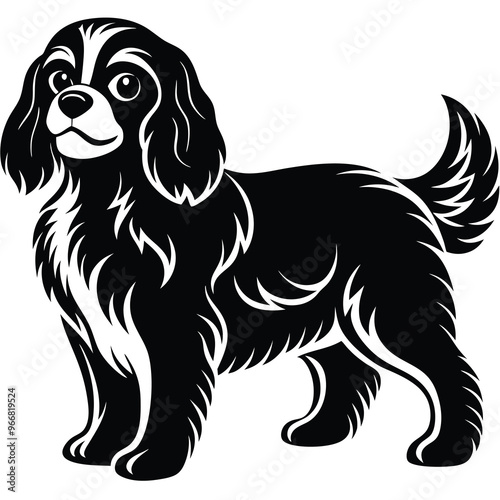 cute cavalier king charles spaniel dog