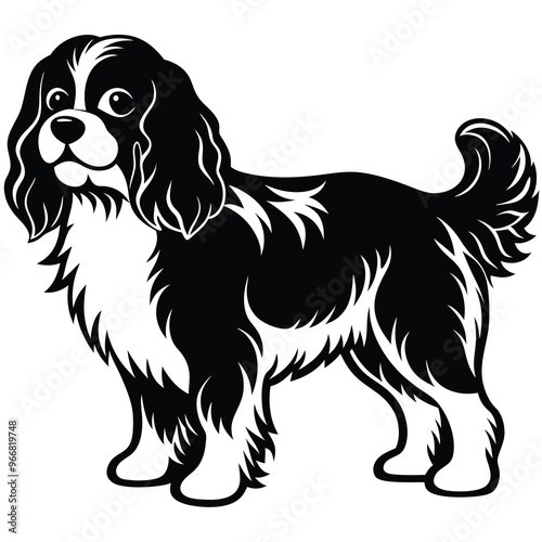 cute cavalier king charles spaniel dog