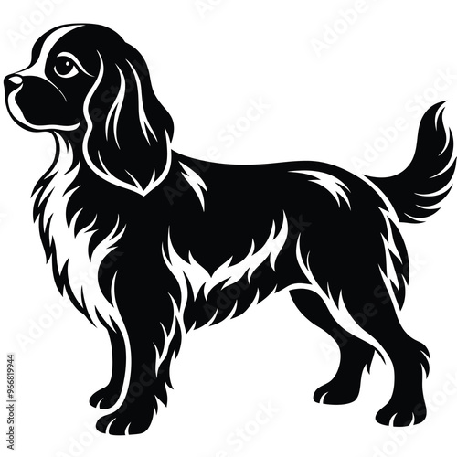 cute cavalier king charles spaniel dog