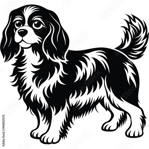 cute cavalier king charles spaniel dog