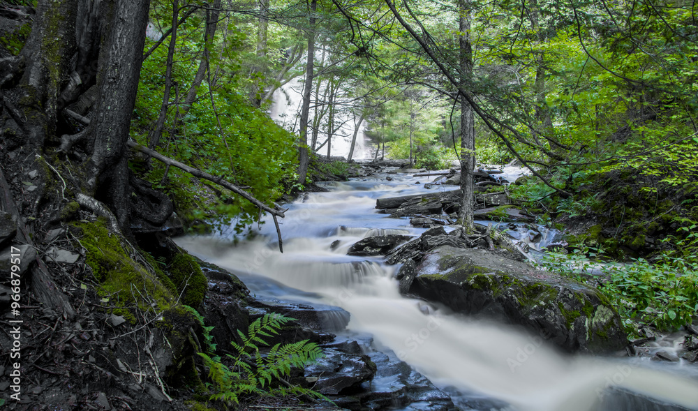 Obraz premium Waterfalls in scenic Ricketts Glen state park, Pennsylvania in summer time.