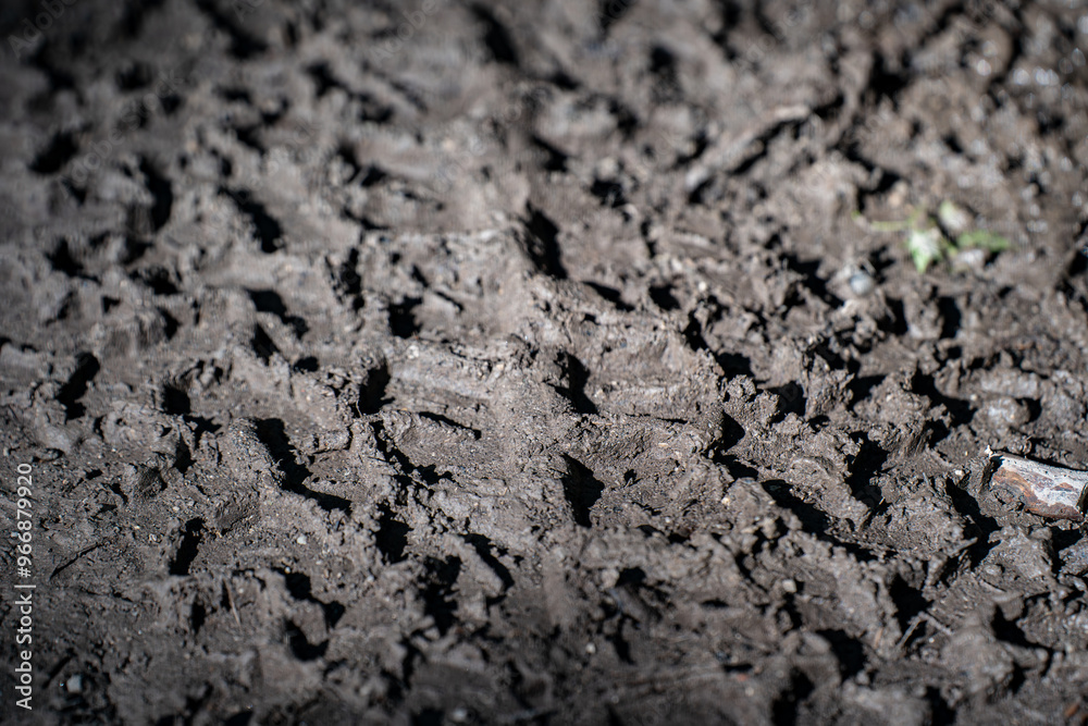 Close up tire tracks on the muddy road. Close up tire tracks on the muddy road.