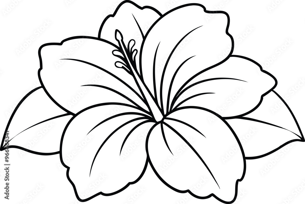 Fototapeta premium Tropical Hibiscus Flower Coloring Page - Cartoon Vector Illustration, Logo Icon, Clipart Design, Line Art, Silhouette 